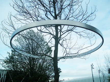 Stainless steel tree ring