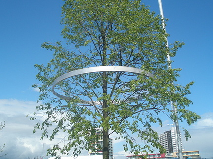 Stainless steel tree ring