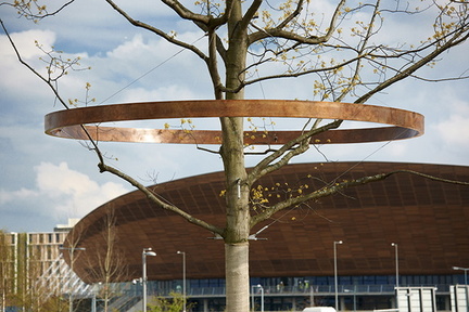 Bronze tree ring