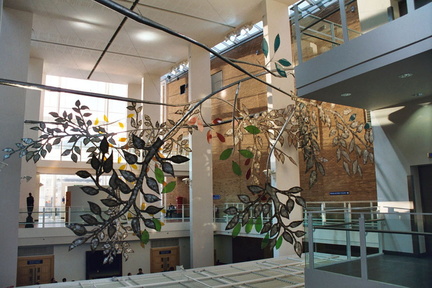 Leaves