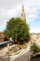 Towards Stillness - Leicester Cathedral, Richard III memorial