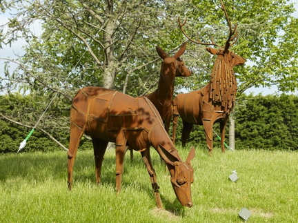 Jane Ackroyd Stags 1